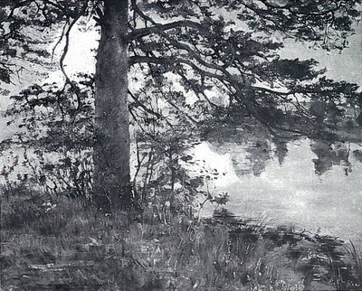Pine by the Water by Lovis Corinth